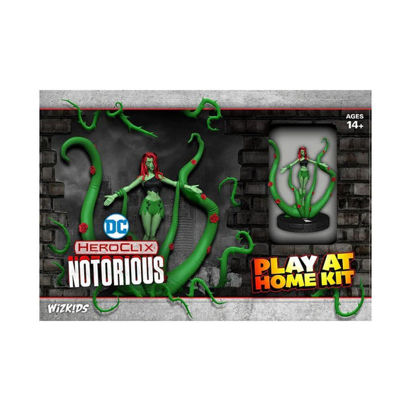 HCX DC Notorious Play at Home  WizKids   