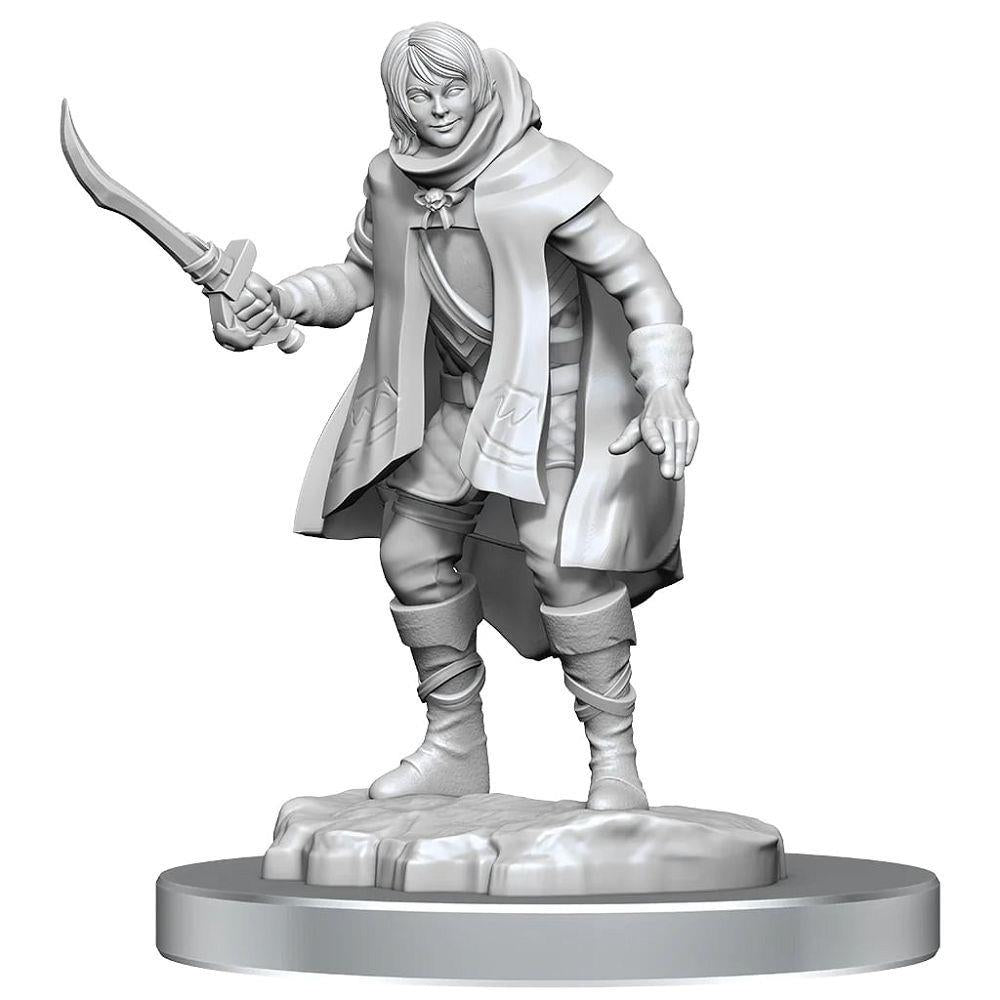 Dungeons & Dragons Nolzur’s Marvelous Miniatures: Elf Rogue & Half-Elf Protégé Miniatures WizKids   