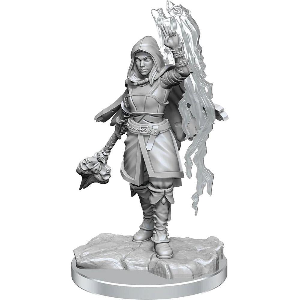 Player Character: Half-Elf Warlock - Female Miniatures WizKids   