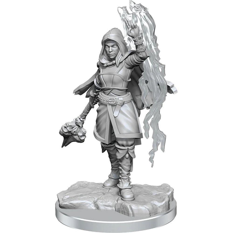 Player Character: Half-Elf Warlock - Female Miniatures WizKids   