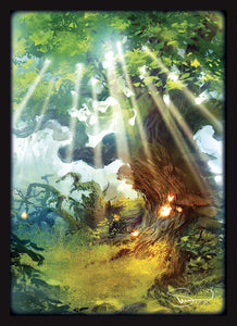 Legion Standard Card Game Sleeves 50ct Matte Lands Forest Home page Other   