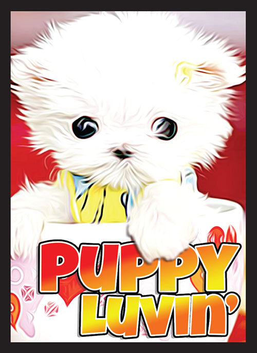 Legion Standard Card Game Sleeves 50ct Matte Puppy Luvin' Supplies Legion Supplies   