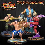 Street Fighter Miniatures Game Kickstarter Stretch Goal Box  Common Ground Games   