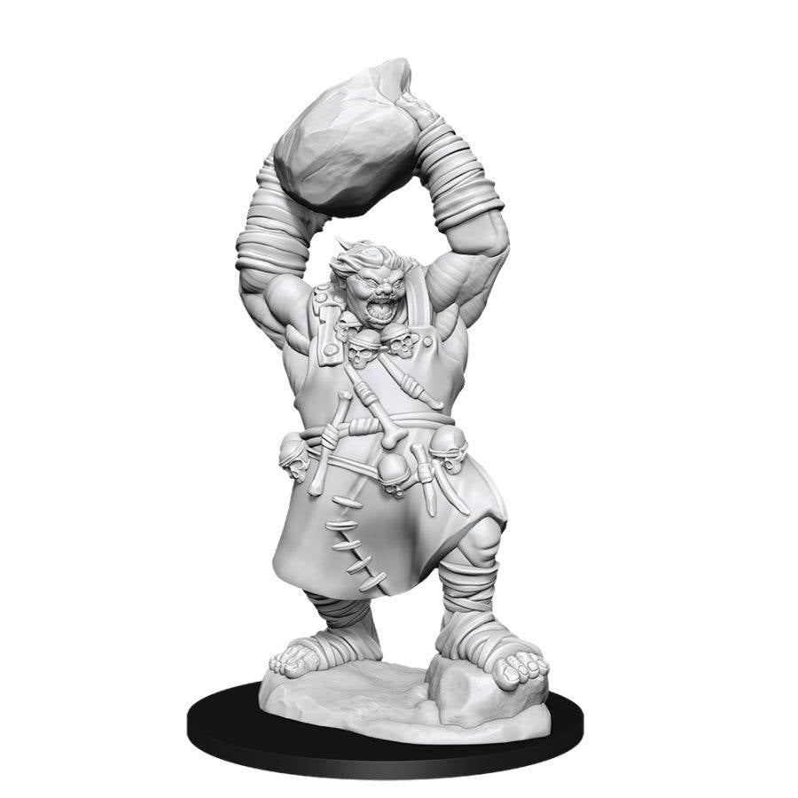 Pathfinder Deep Cuts Unpainted Miniatures: Ogre Miniatures WizKids