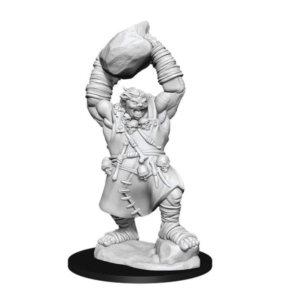 Pathfinder Deep Cuts Unpainted Miniatures: Ogre Home page Other   