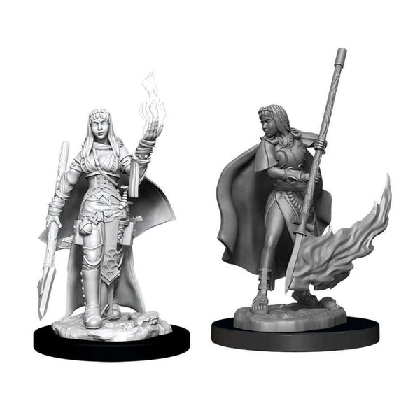 Pathfinder Deep Cuts Unpainted Miniatures: Female Human Oracle Miniatures WizKids   