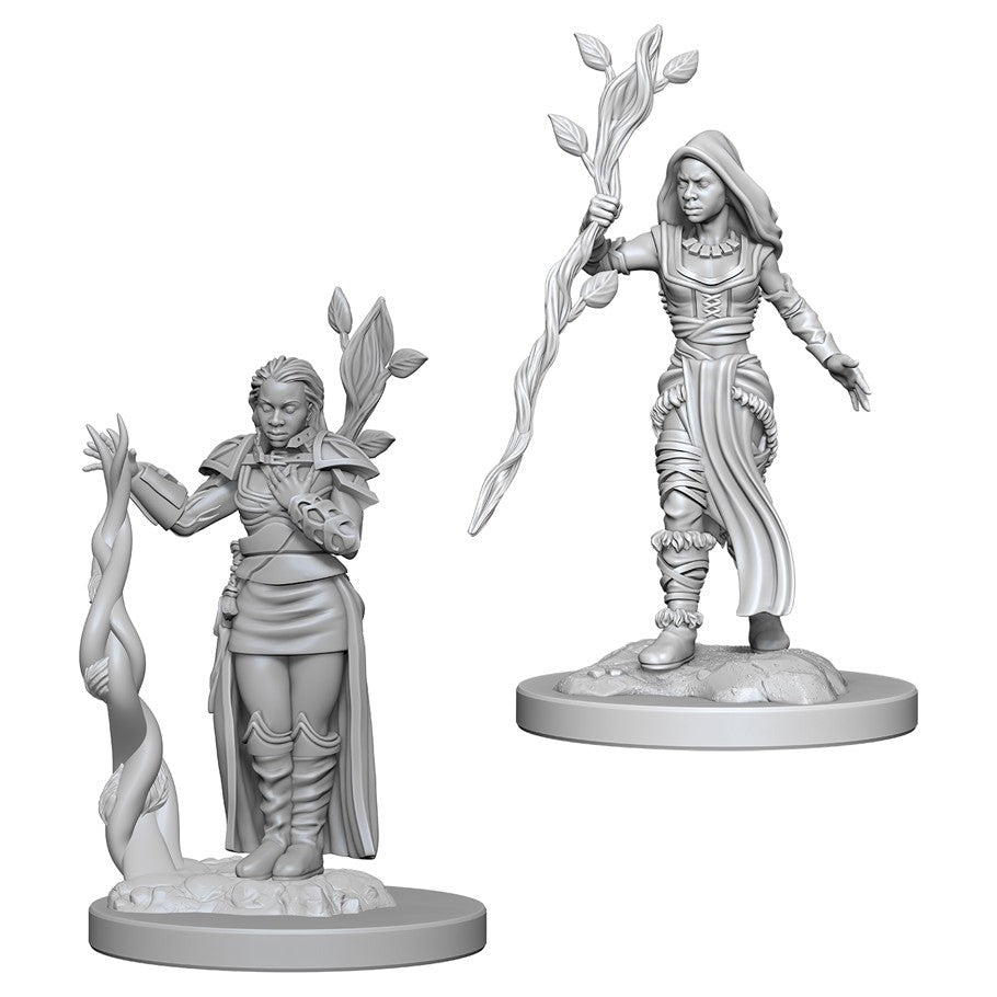 D&D Nolzur's Marvelous Unpainted Miniatures: Human Female Druid (72640) Miniatures WizKids   