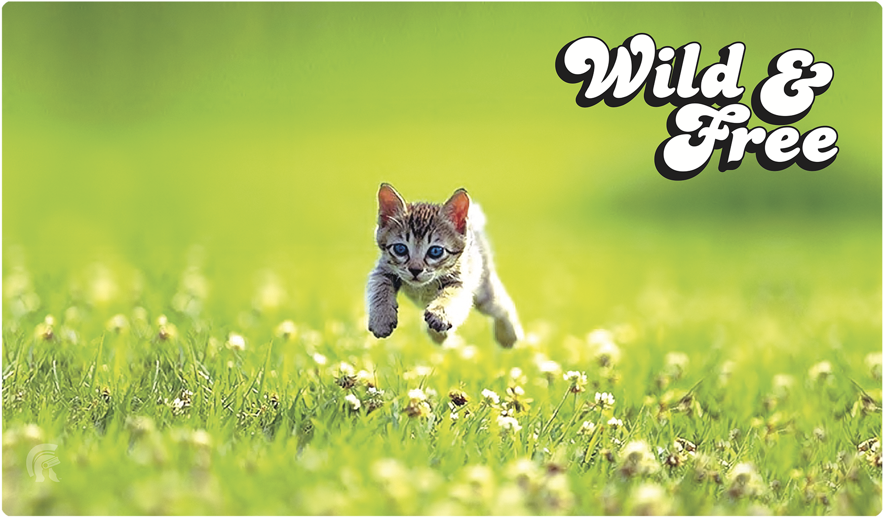 Legion Playmat Kitten Supplies Legion Supplies   