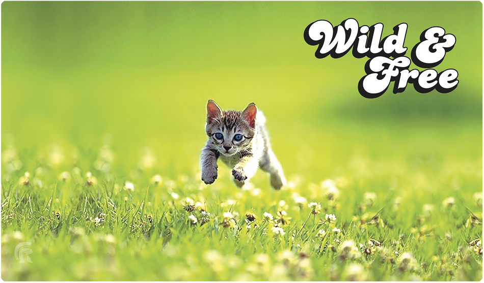 Legion Playmat Kitten Supplies Legion Supplies   