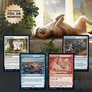 MTG: Secret Lair Drop Every Dog Has Its Day Regular  Wizards of the Coast   