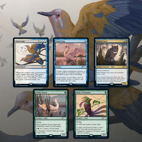 MTG: Secret Lair Drop: Ornithological Studies Trading Card Games Wizards of the Coast   