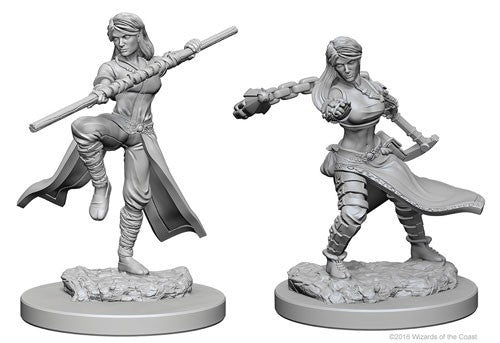 D&D Nolzur's Marvelous Unpainted Miniatures: Human Female Monk Miniatures WizKids   