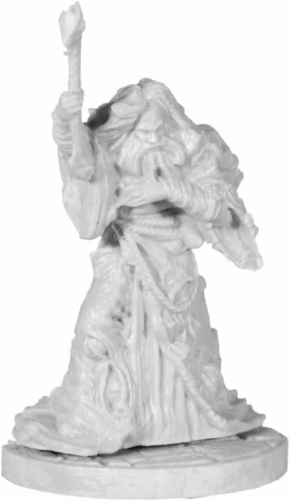 D&D Collector's Series Dungeon of the Mad Mage Miniature Halaster Blackcloak (71075) Home page Other   