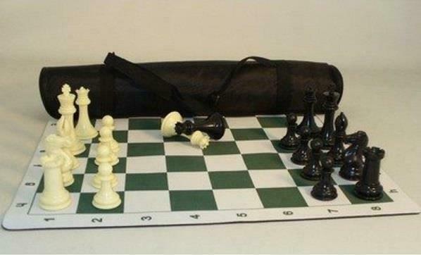 Pro Chess Board Games WorldWise Imports   