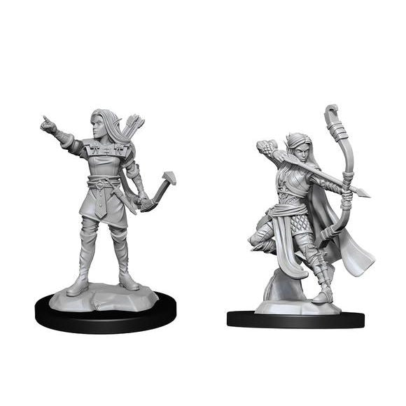 Pathfinder Deep Cuts Female Human Fighter (90326) Miniatures WizKids   