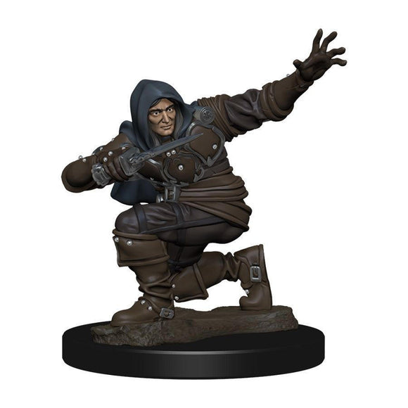 Pathfinder Battles Premium Painted Figure Human Male Rogue (77500) Miniatures WizKids   