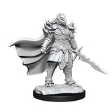 90302 F Dragonborn Fighter Miniatures WizKids   