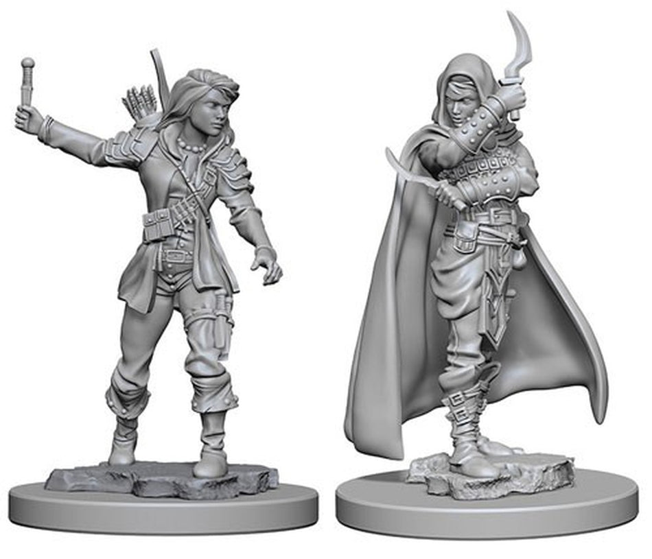 Pathfinder Deep Cuts Unpainted Miniatures: Human Female Rogue Miniatures WizKids   