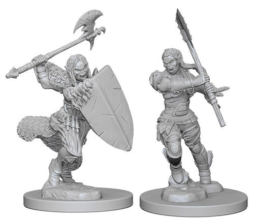 Pathfinder Deep Cuts Unpainted Miniatures: Half-Orc Female Barbarian Home page WizKids   