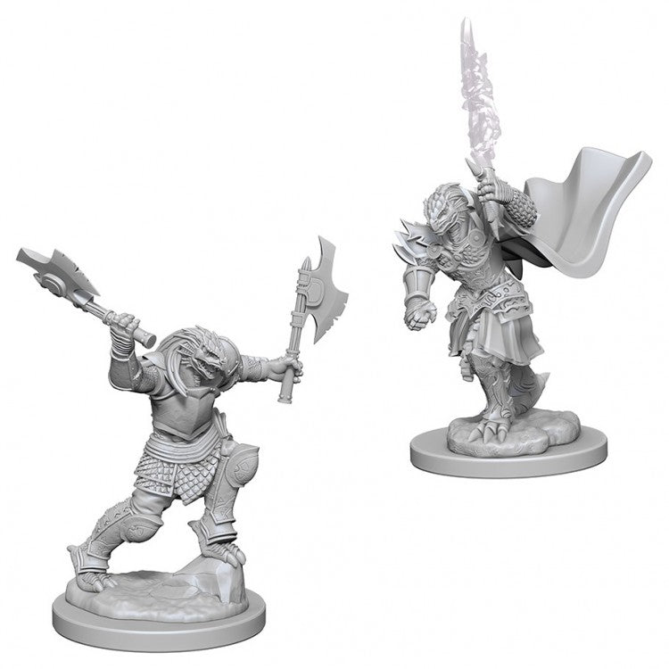D&D Nolzur's Marvelous Unpainted Miniatures: Dragonborn Female Fighter Miniatures WizKids