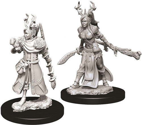 D&D Nolzur's Marvelous Unpainted Miniatures: Female Human Druid (73701) Miniatures WizKids