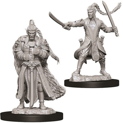 D&D Nolzur's Marvelous Unpainted Miniatures: Male Elf Paladin Miniatures WizKids   