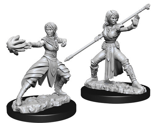 D&D Nolzur's Marvelous Unpainted Miniatures: Female Half-Elf Monk Miniatures WizKids   