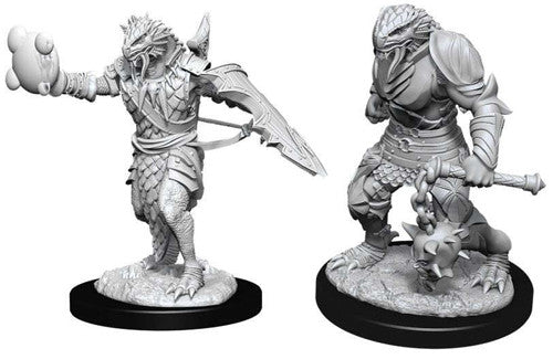 D&D Nolzur's Marvelous Unpainted Miniatures: Male Dragonborn Paladin Miniatures WizKids   