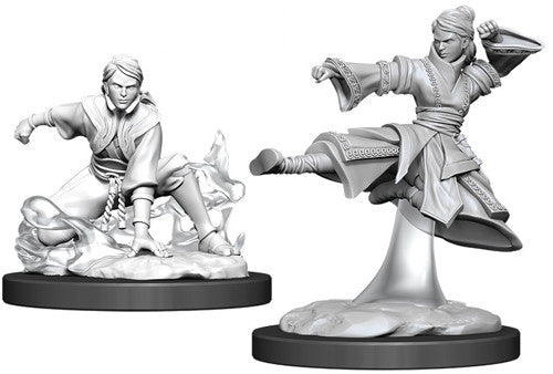 D&D Nolzur's Marvelous Unpainted Miniatures: Female Human Monk Miniatures WizKids   